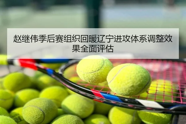 赵继伟季后赛组织回暖辽宁进攻体系调整效果全面评估